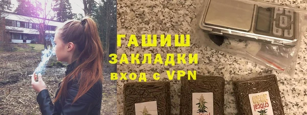 хмурый Арсеньев