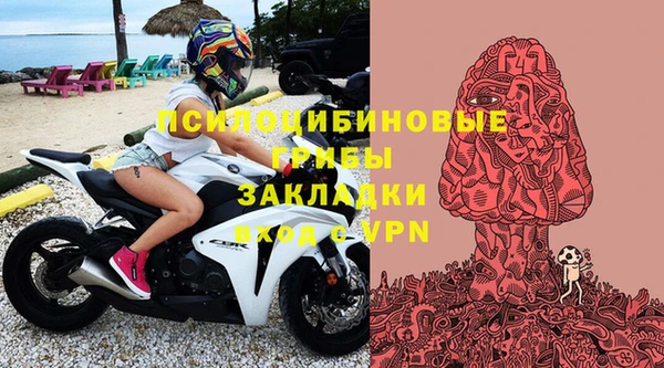 хмурый Арсеньев