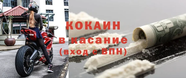 хмурый Арсеньев