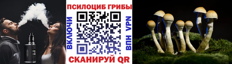 цены   Талдом  Псилоцибиновые грибы ЛСД 